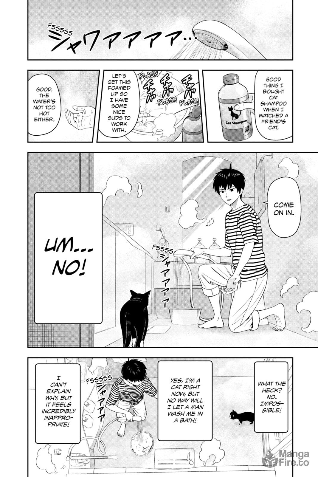 A Stray Cat's Bubble of Bliss page 5