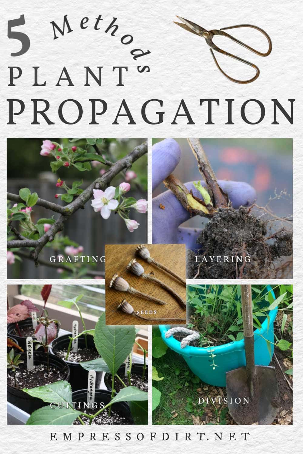 Mastering Plant Propagation: A Comprehensive Guide To Growing New Life