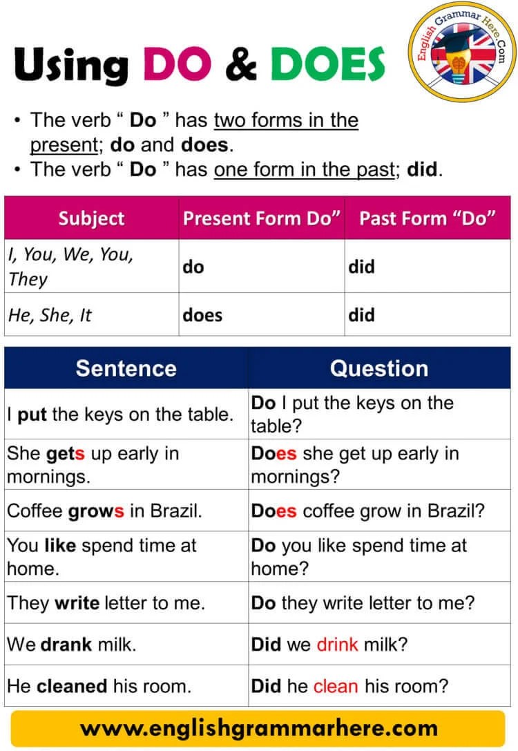 Using Do and Does, Definition and Example Sentences - English Grammar Here