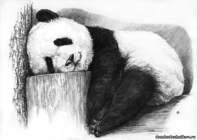 красивые картинки с нарисованными цветами