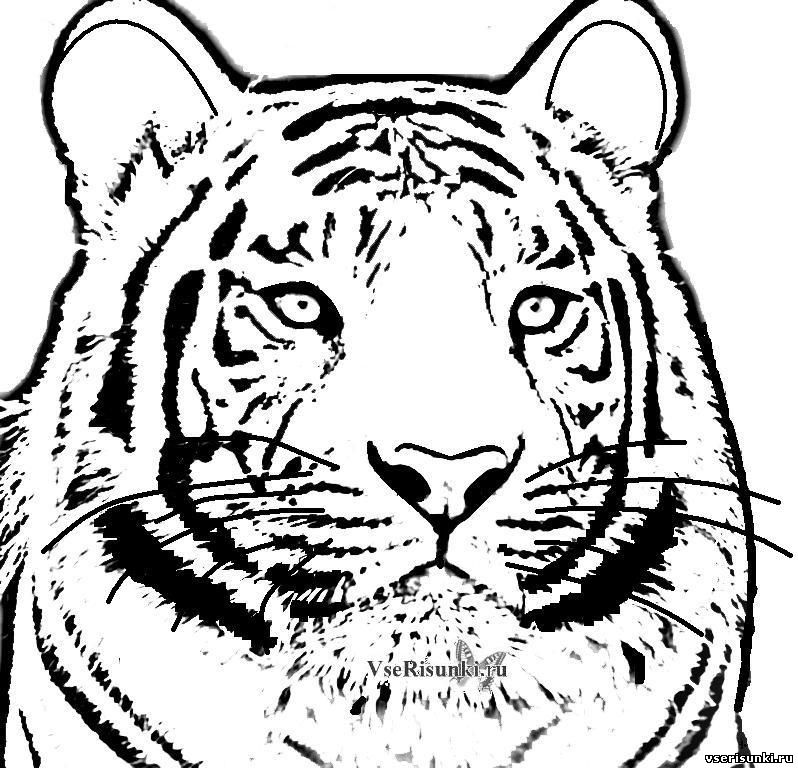 красивые картинки с нарисованными цветами