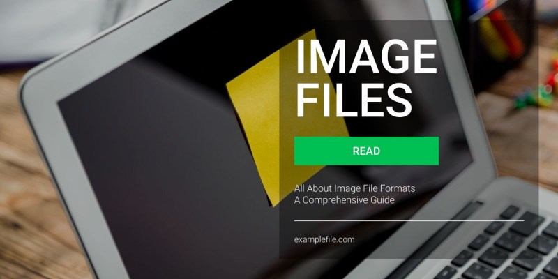 file downloader chrome addon video - Ilustrasi 3