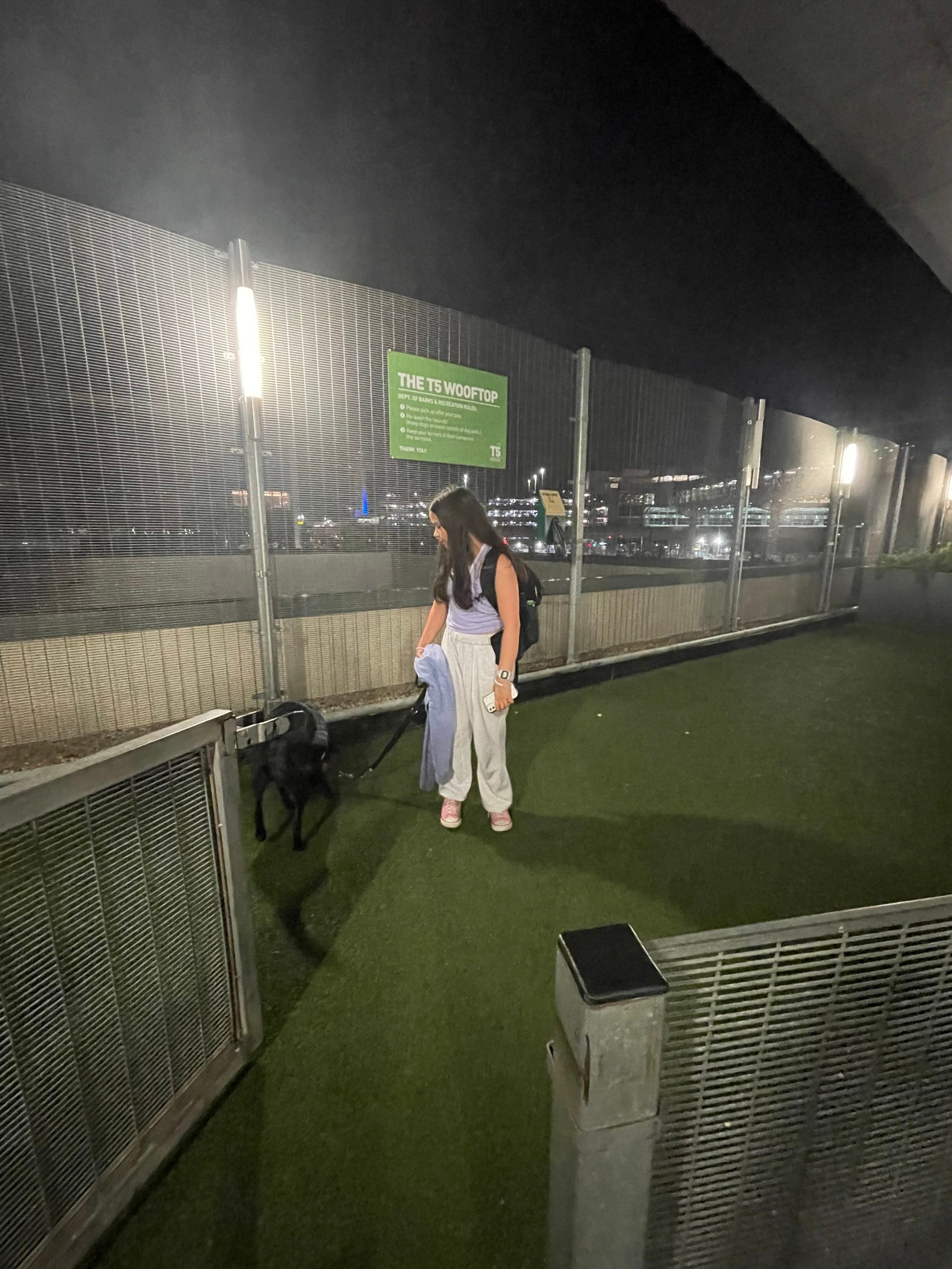 Jfk airport pet relief area