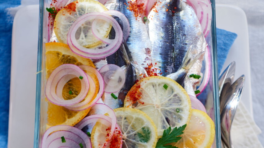 Terrine de sardines au piment d’Espelette : découvrez les recettes de  cuisine de Femme Actuelle Le MAG