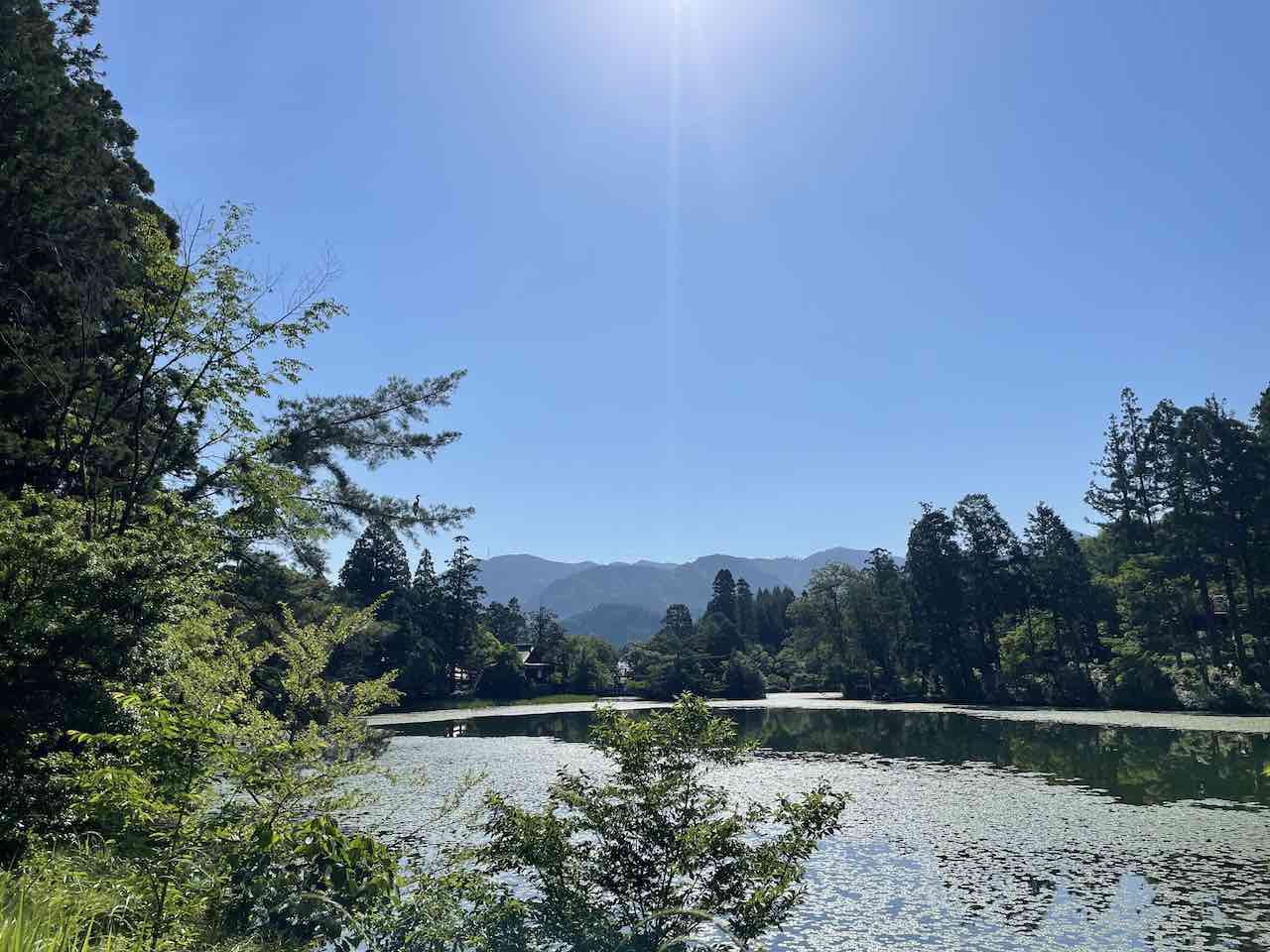 毎年行きたい八女市星野村の池の山キャンプ場！温泉(家族風呂)も景色も楽しもう♪ - 続・週末アウトドアファミリー