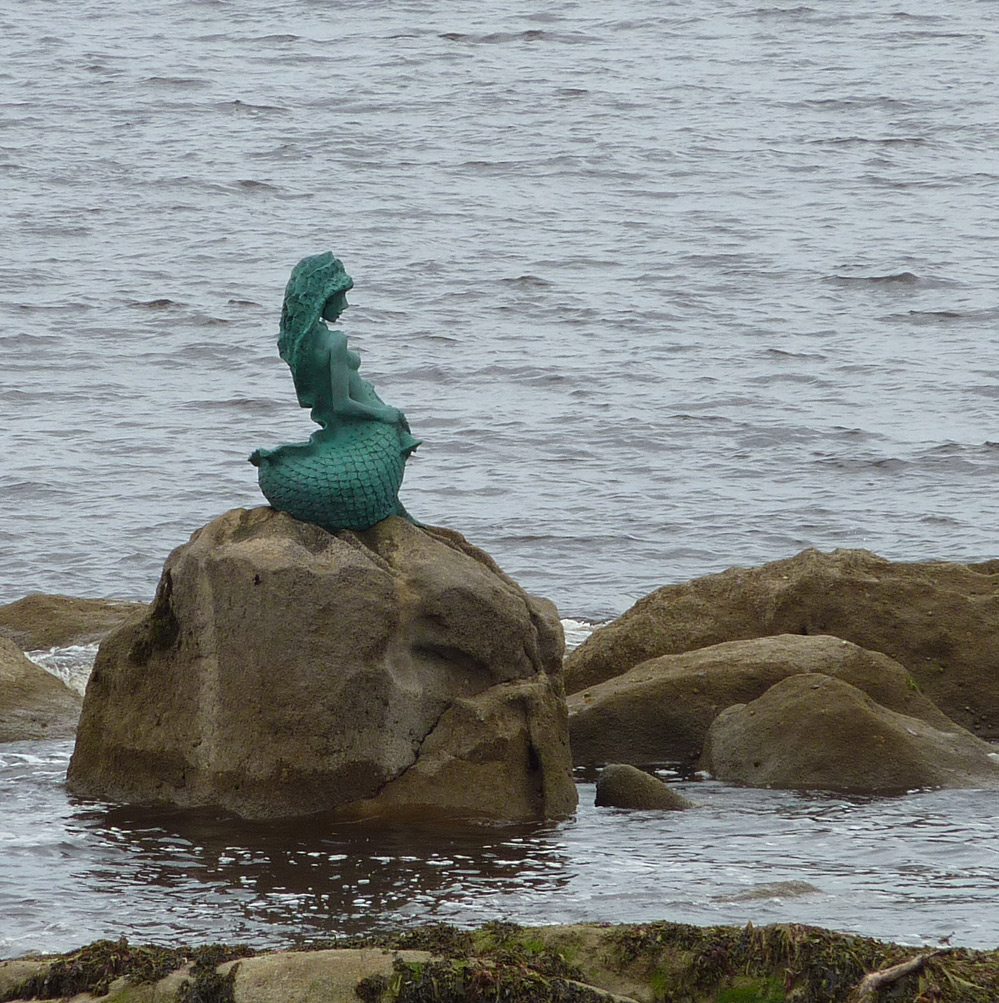 Donde comer en san ciprian