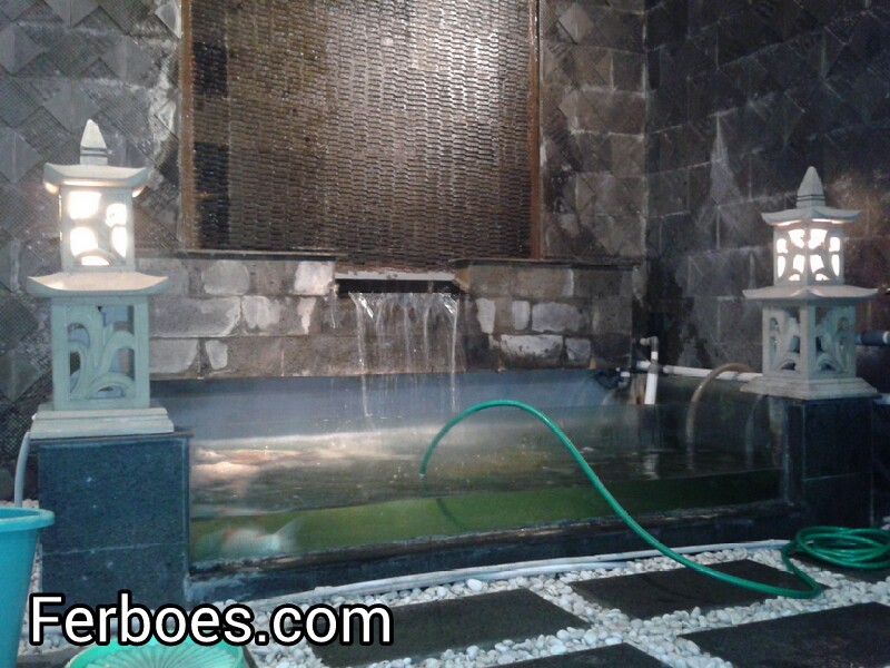 Kolam Ikan Koi diDalam Rumah…!!! – Ferboes.com