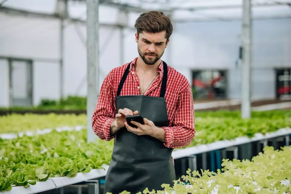 Unlocking Business Potential: The Power of Revenue-Based Financing