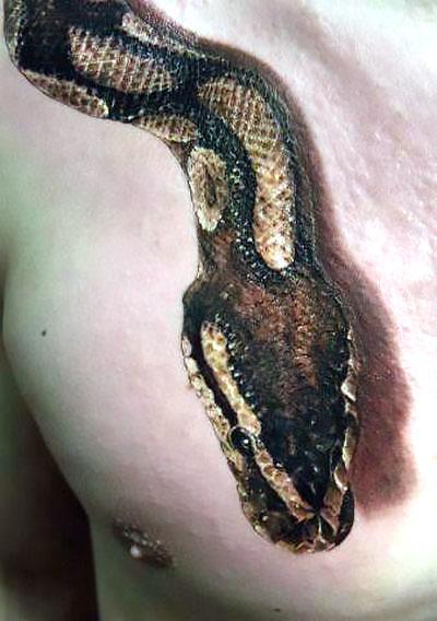 3D Snake Tattoo Idea 568_x_400_jpg