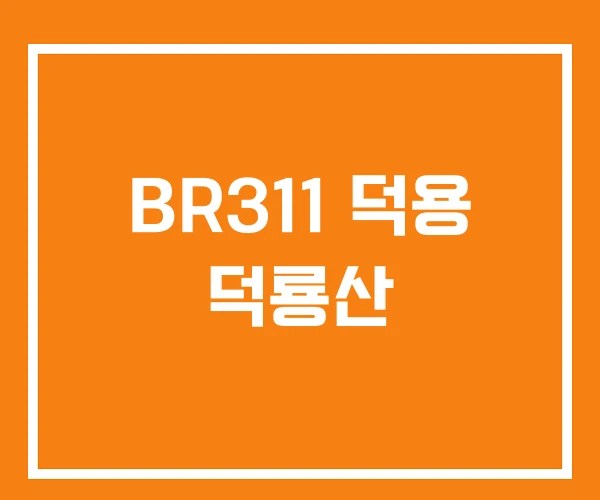 BR311 덕용 덕룡산