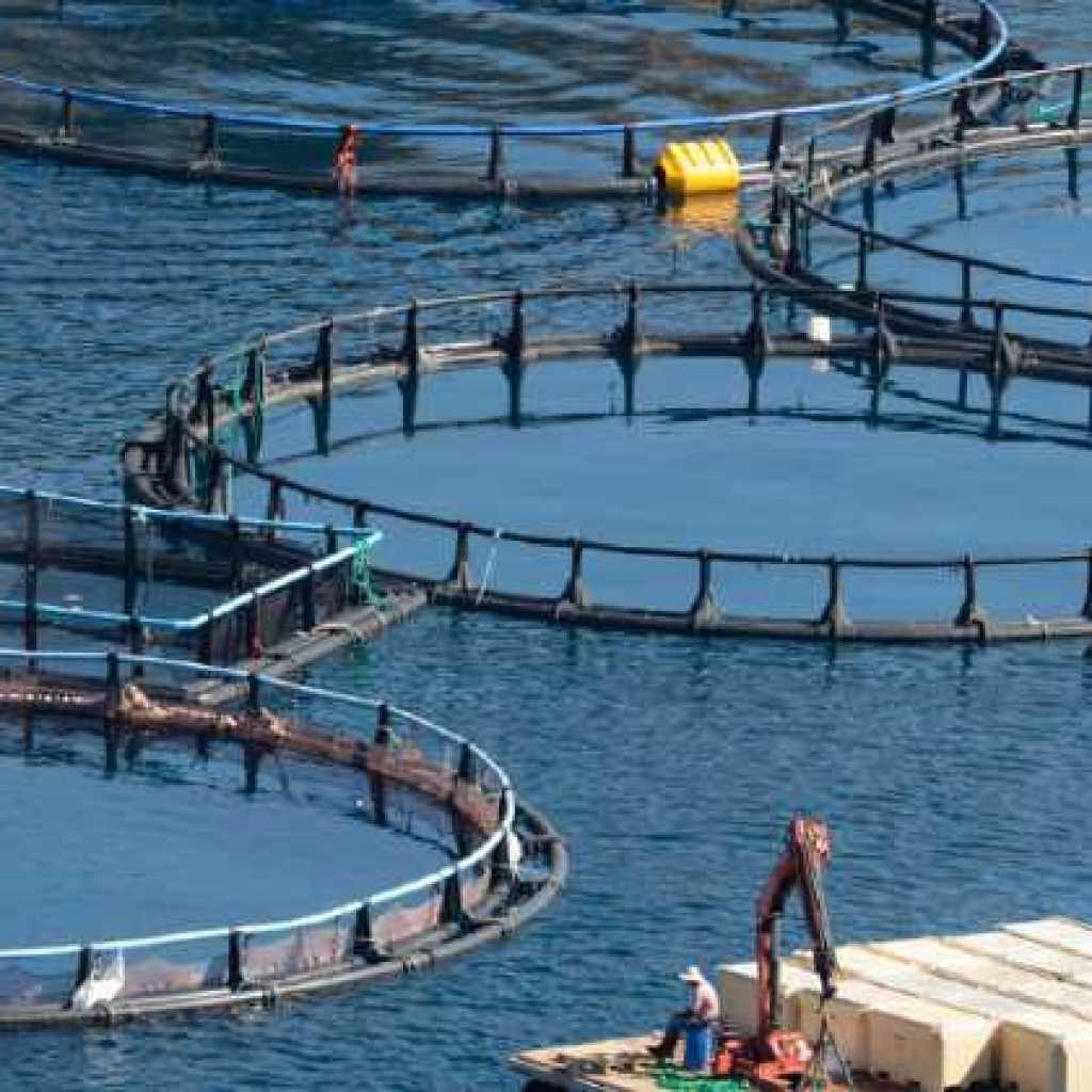Ambition and Innovation Sought to Safeguard Scotland’s Marine