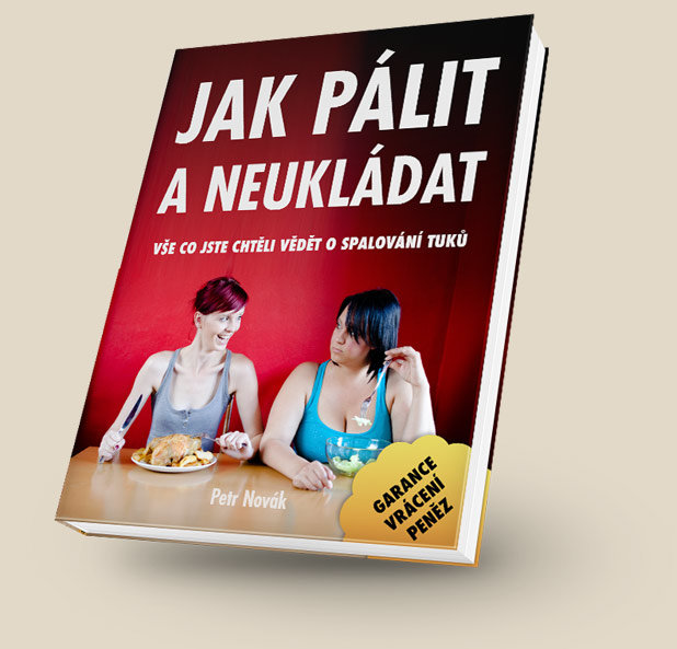 Kniha Jak Palit A Neukladat Od 340kc