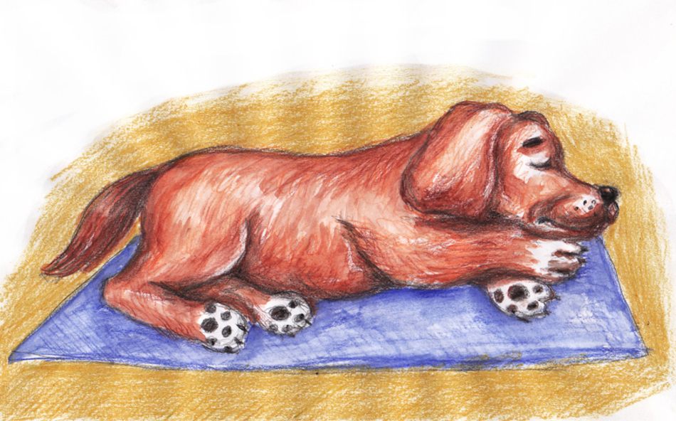 как рисовать собаку для детей 7 лет