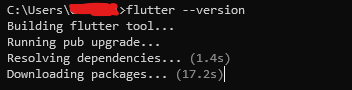 Flutter Setting Up
