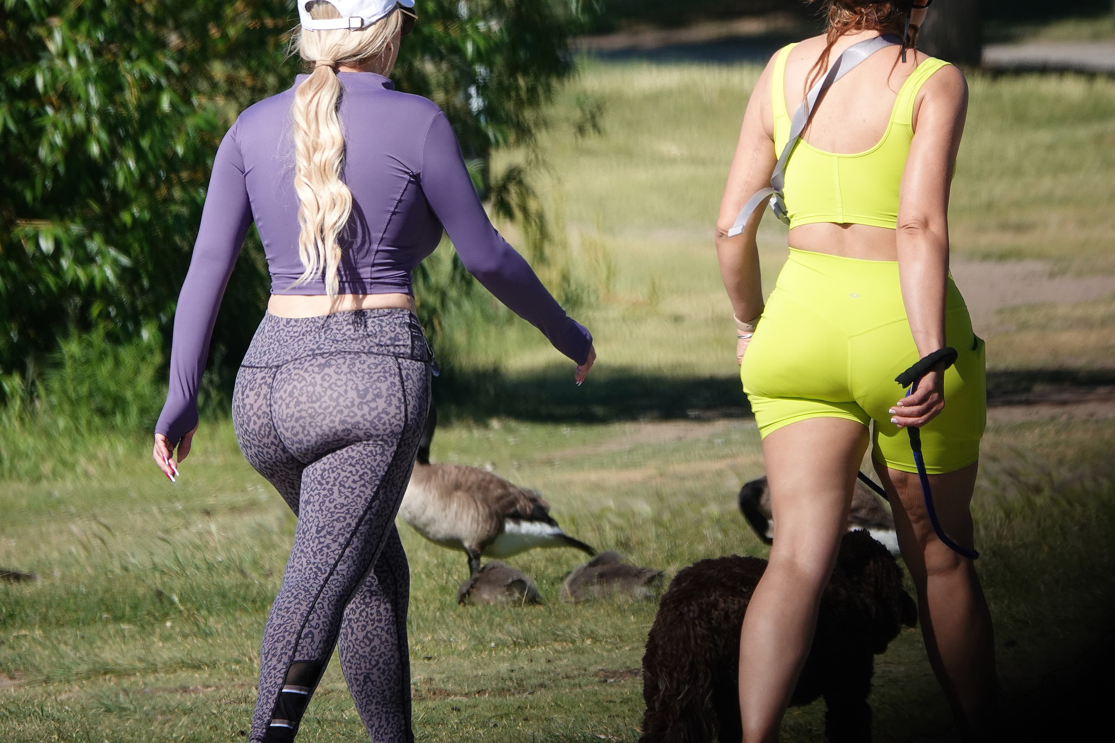 PAWG VPL vs BBL - Spandex, Leggings & Yoga Pants - Forum Pawg bbl