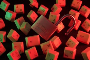 Identity Verification in a Globalized World