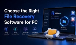 How to Choose the Right File Recovery Software for PC?