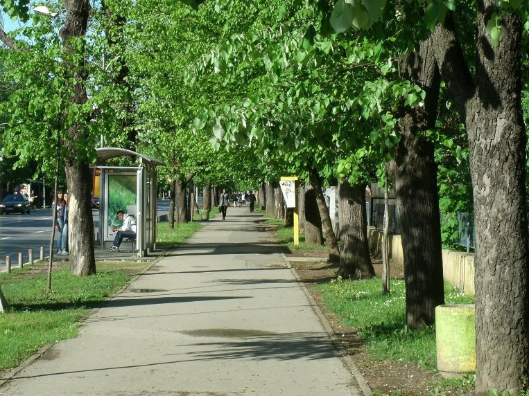 Banjalucke Aleje Kestena Furaj Ba Furaj Ba
