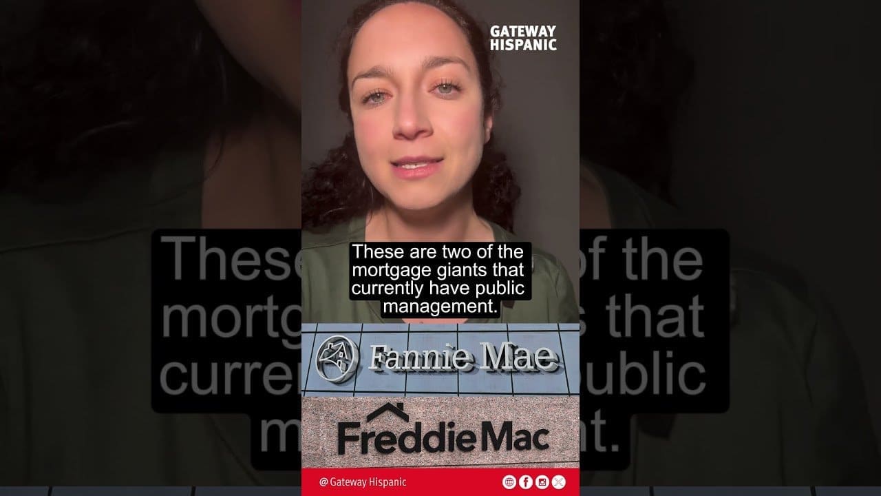 Mega Public Offering of Fannie Mae and Freddie Mac