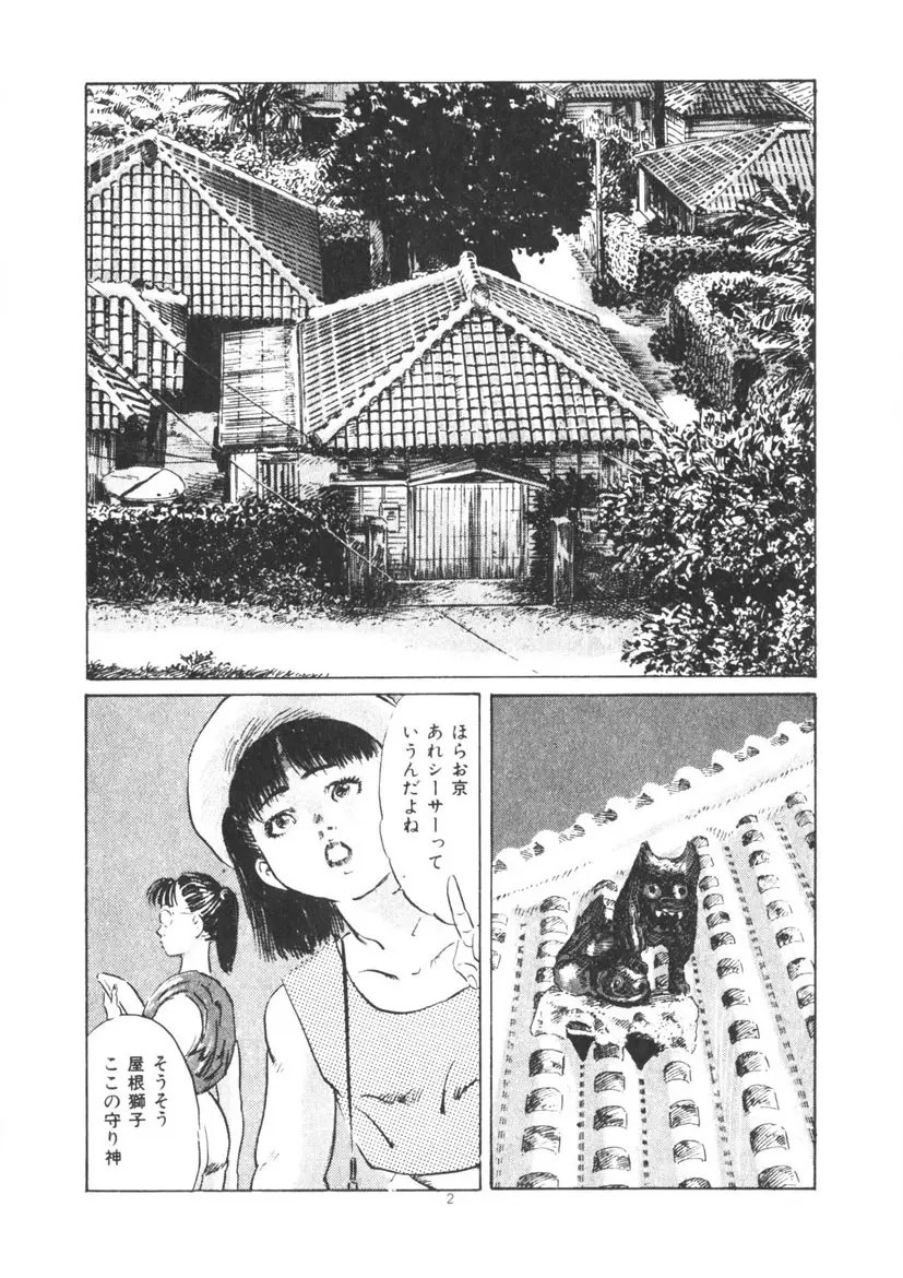 くちびる女高生 3枚目