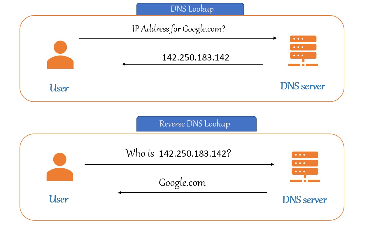 How to check reverse dns lookup