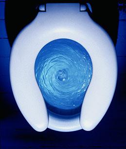 flush toilet and the swirl shape direction | there&rsquo;s something about  geometry + architecture