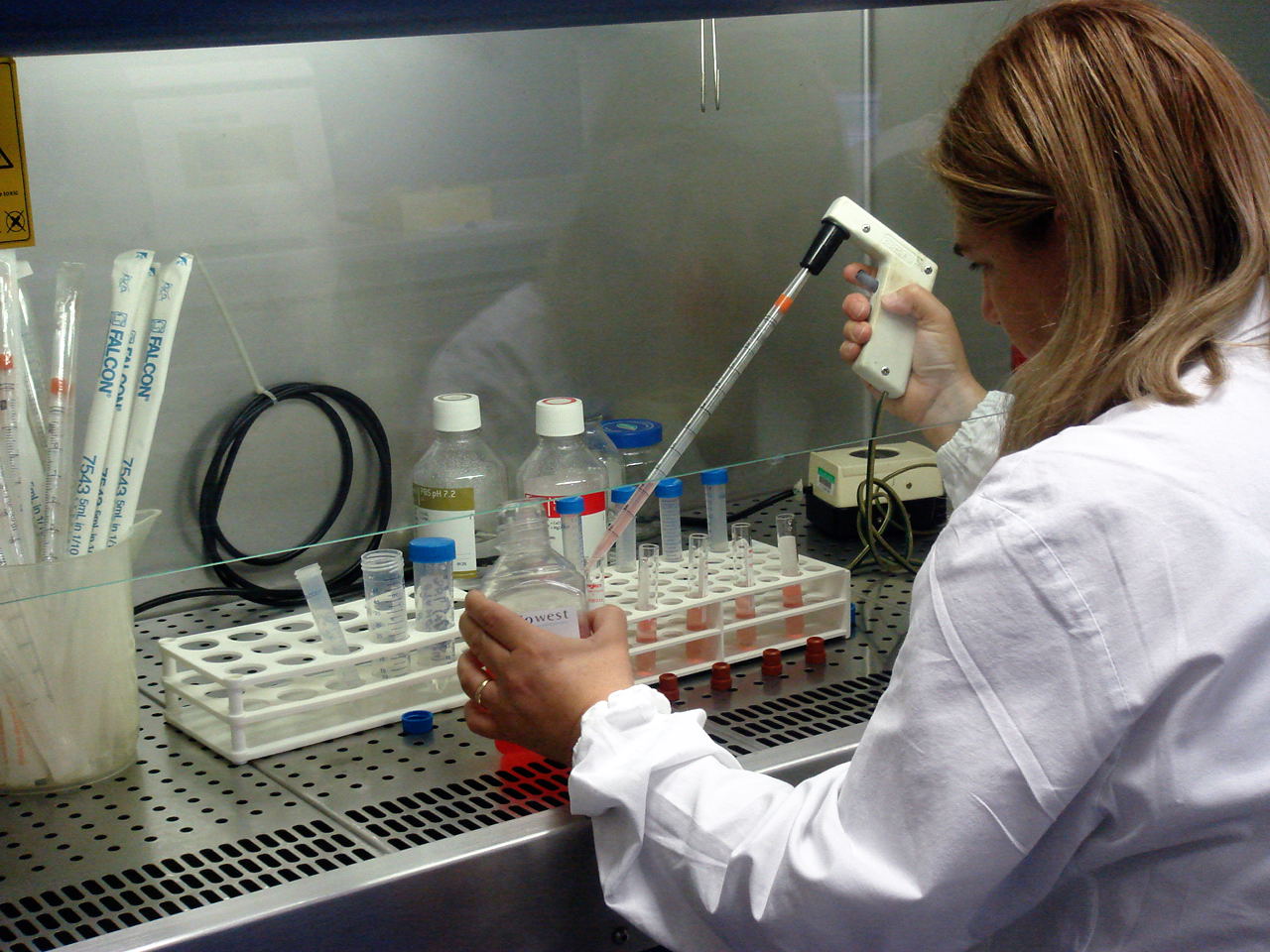 In Svizzera 10.000, Biologi E Fisici Italiani, Sono Giovani E Soprattutto Donne - Gero Grassi 960_x_1280_jpg