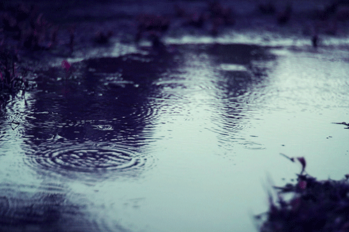 반사 사진 웅덩이 웅덩이에 반사 사진 무료 고품질