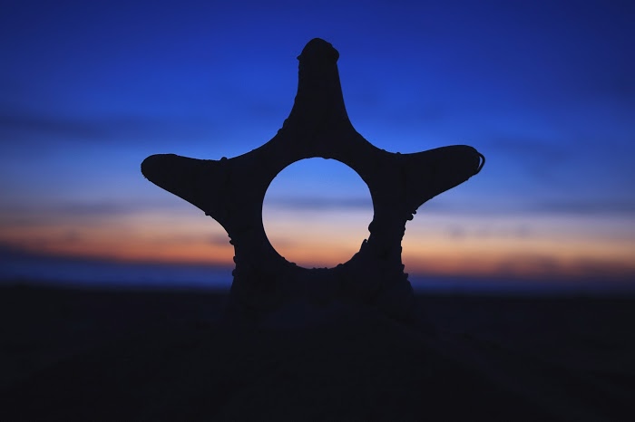 南国 タグのフリー画像一覧 おしゃれなフリー写真素材 Girly Drop