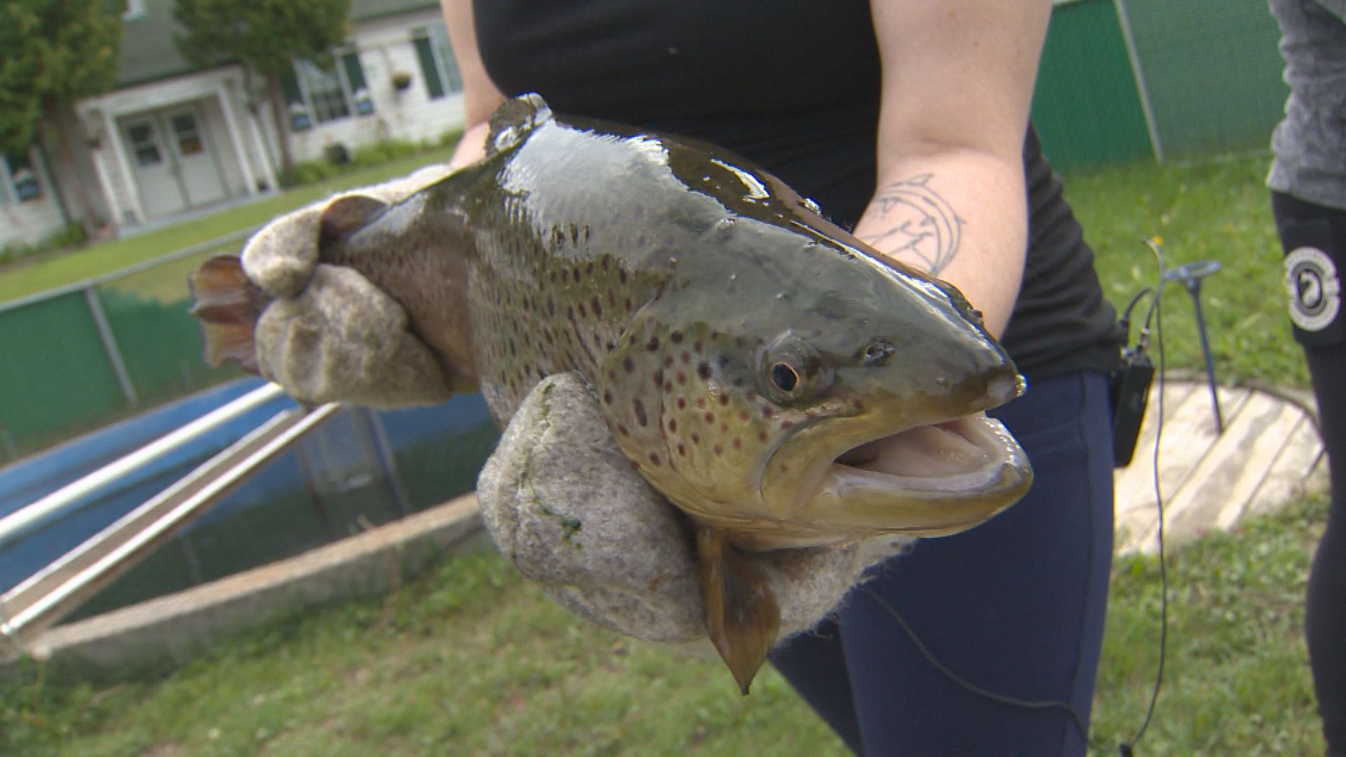Deep impacts: Manitoba wildfires could threaten aquatic ecosystems – Winnipeg