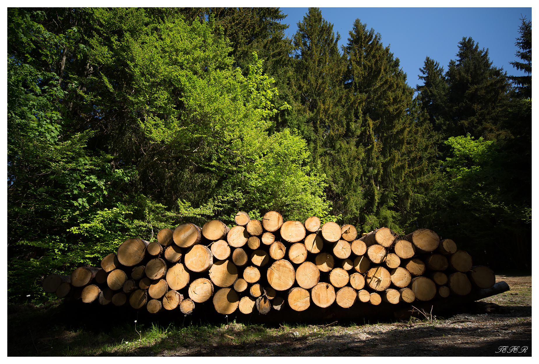 Carl Zeiss Milvus 18mm 2 8 Gorm Teper