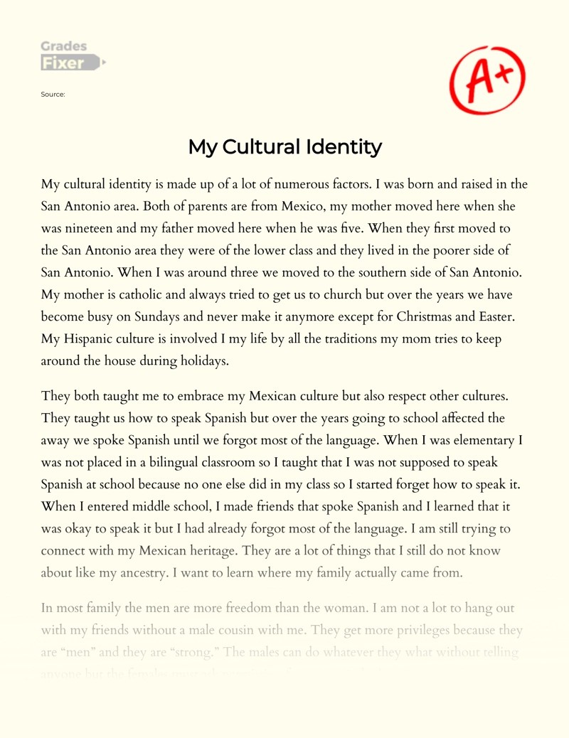 Cultural identity essay