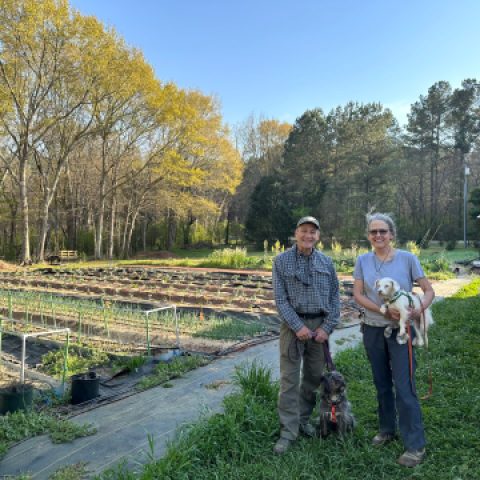 Watkinsville Couple Transforms Fresh Farm Produce into Hope: How They’re Feeding Those in Need – Grady Newsource Watkinsville Couple Transforms Fresh Farm Produce into Hope: How They’re Feeding Those in Need – Grady Newsource