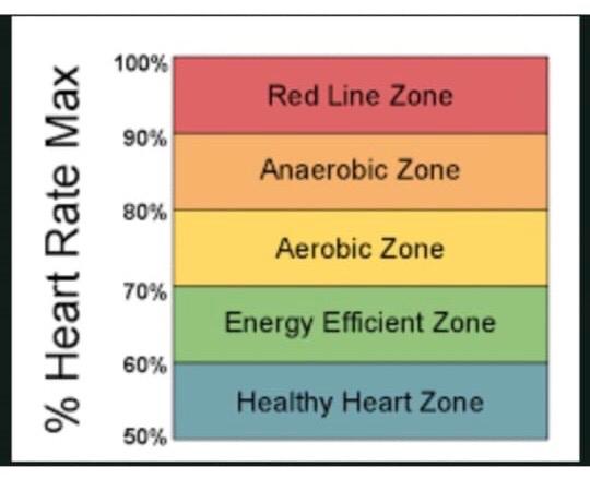 Heart Rate/Detak Jantung - Gria Gowes Homestay