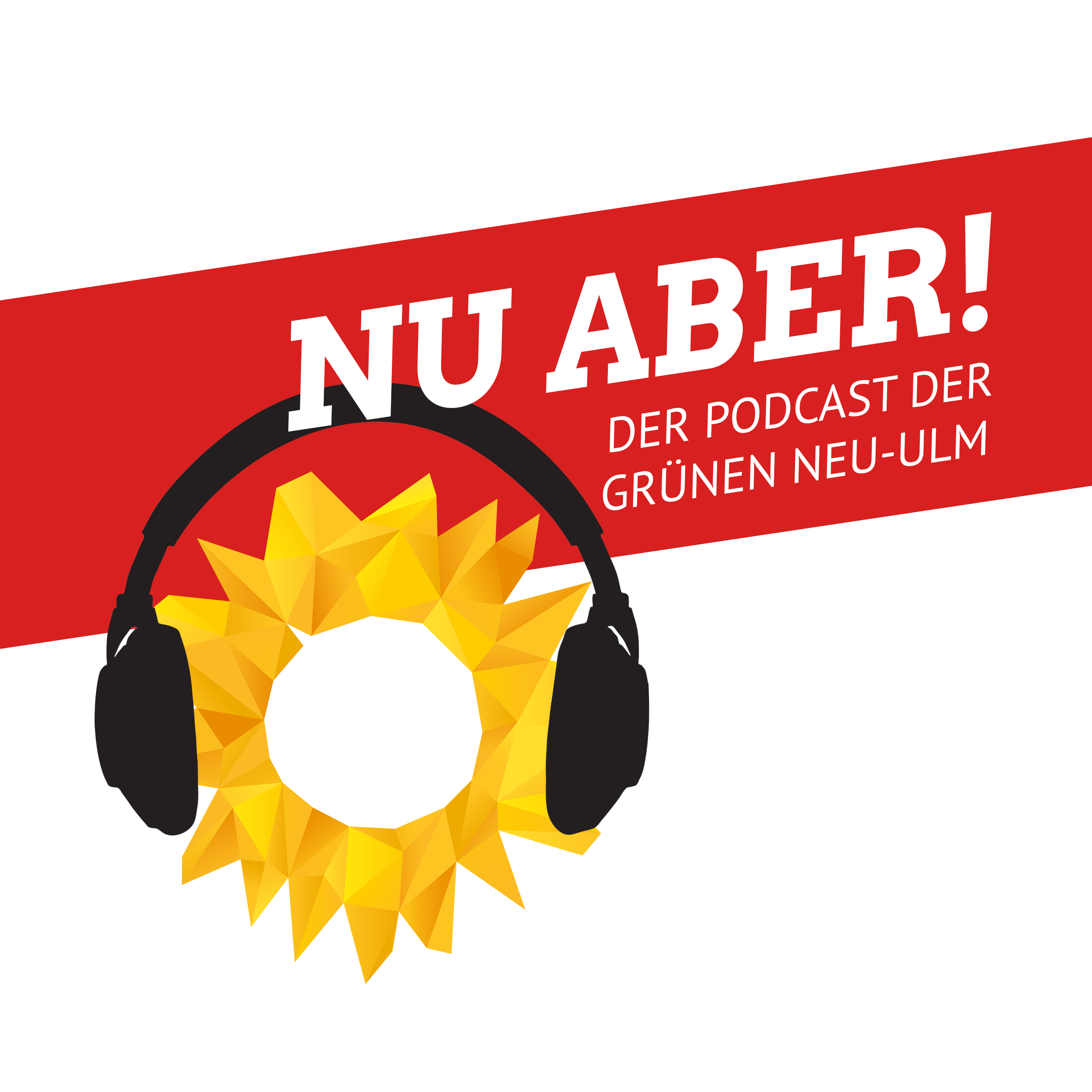 Nu Aber Der Podcast Der Grunen Neu Ulm Grune Neu Ulmgrune Neu Ulm