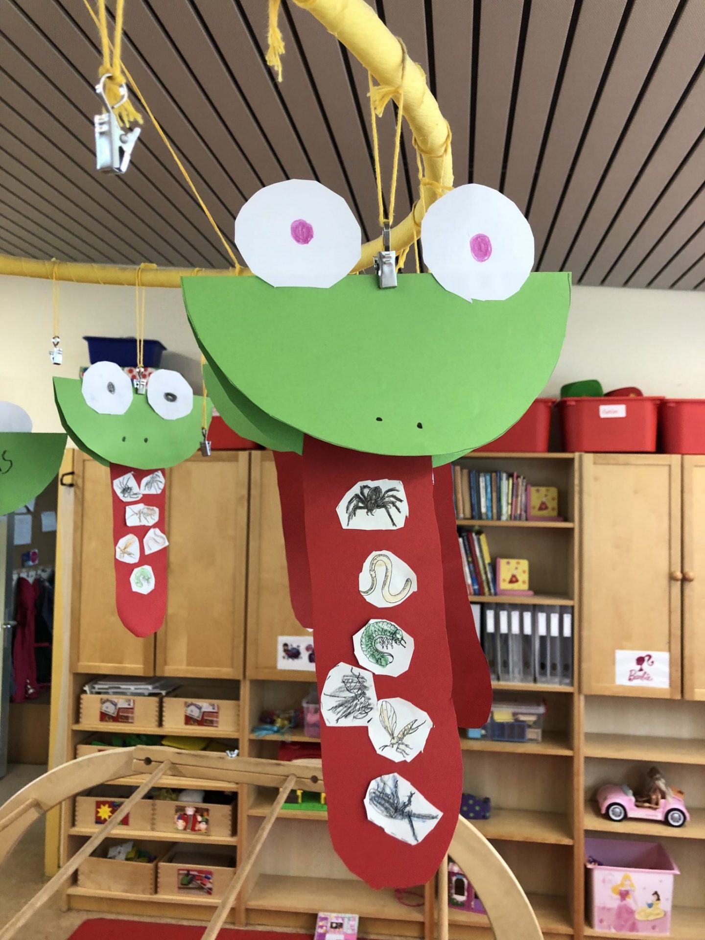 Frosch Projekt Willkommen