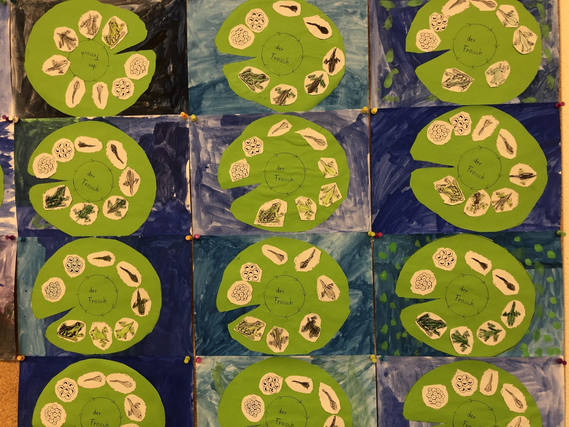 Frosch Projekt Willkommen