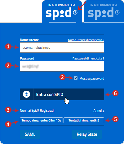 Accesso Ai Servizi Online Di Pa E Privati Con Livello 2 | Guide Pec.it 467_x_400_jpg