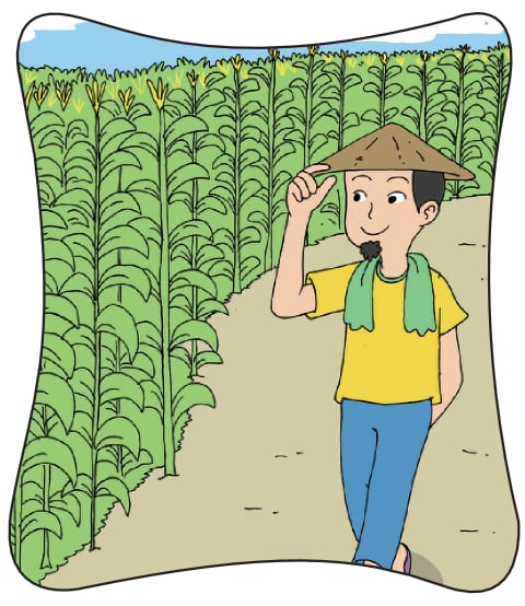 Petani Jagung yang Cerdik - Gurune.net