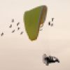 Conservationists Are Flying Microlites To Teach Birds How To Migrate Conservationists Are Flying Microlites To Teach Birds How To Migrate