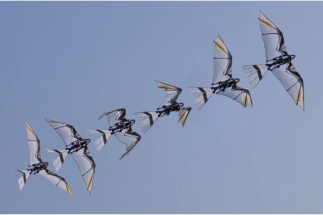 RoboFalcon2.0, l’automa che decolla come un vero uccello