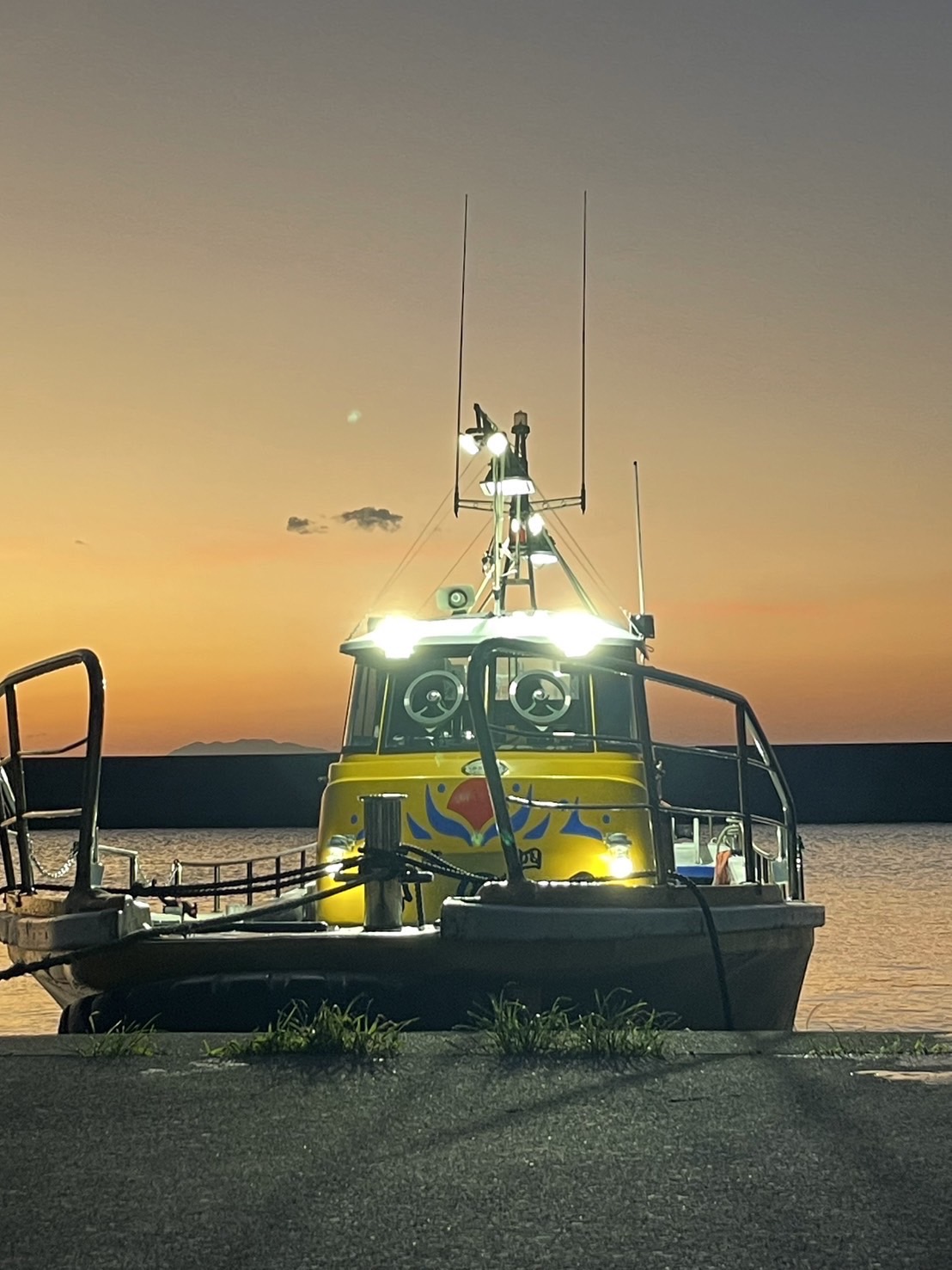 ブログ | ひので渡船公式ホームページ