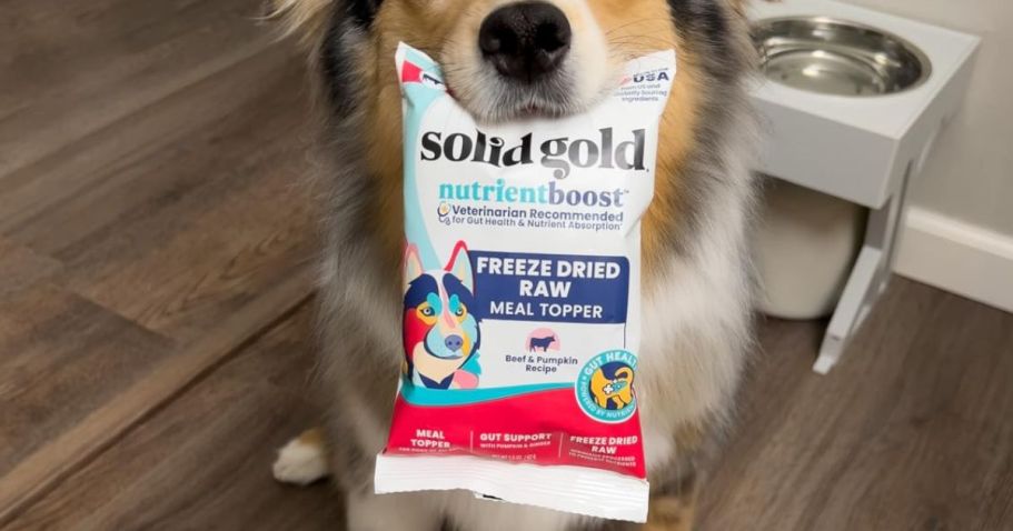 Highly-Rated Solid Gold Dog Food Meal Topper Just .99 on Amazon (Reg. ) Highly-Rated Solid Gold Dog Food Meal Topper Just .99 on Amazon (Reg. )