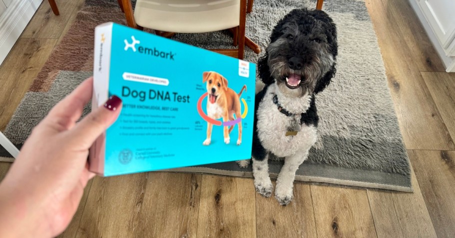 Embark on Your Pup’s DNA and Health Journey – Snag This Rare Deal!