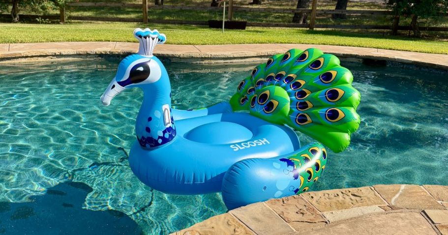 Imagine This Peacock Float in Your Pool (+ Get the Lowest Price!) Imagine This Peacock Float in Your Pool (+ Get the Lowest Price!)