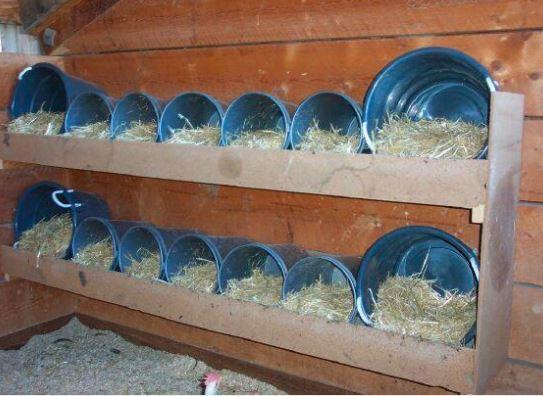 ✓ 6 IDE UNIK, Tempat Mengeram Dan Bertelur Ayam