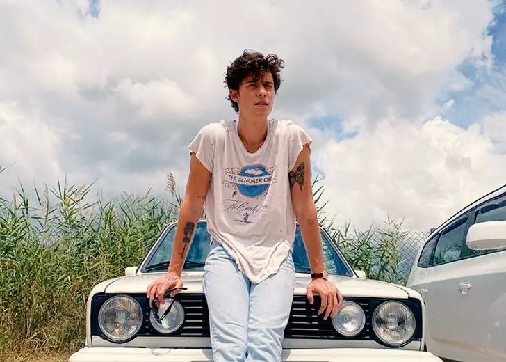 Shawn Mendes' Tattoos And Their Meanings 520_x_728_jpg
