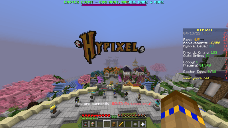 hypixel skyblock net worth website