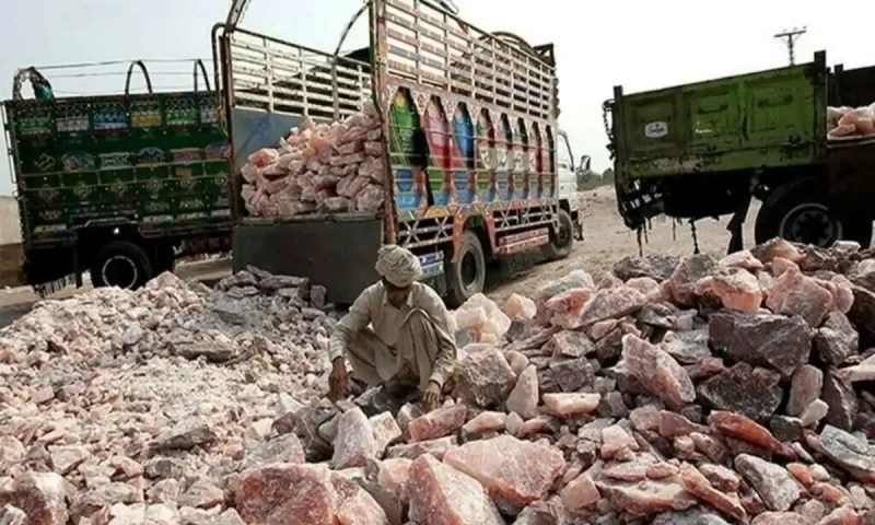 پاکستان سے پنک نمک دوسرے ممالک کو بھیجنے پر کسٹم ڈیوٹی