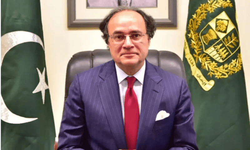 وزیرِ خزانہ اورنگزیب ایک اور اہم کمیٹی کی سربراہی سے فارغ